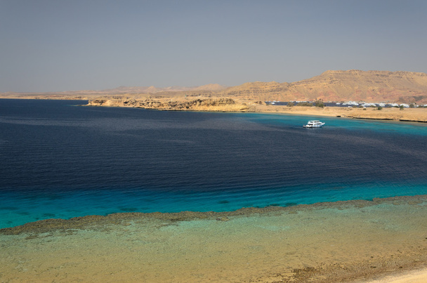 Coast in Egypt. Red Sea. - Fotoğraf, Görsel