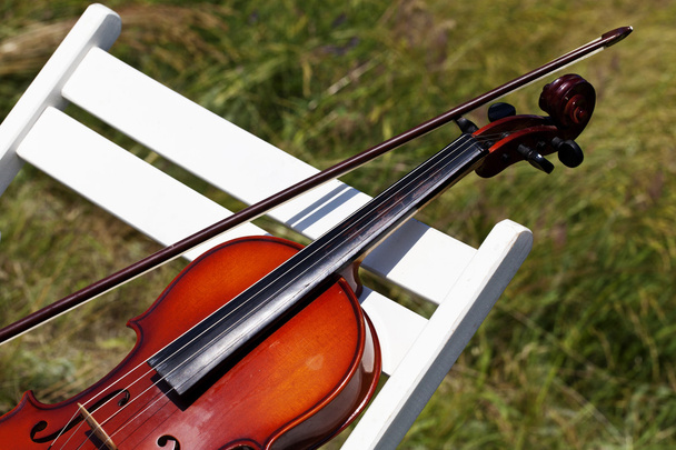 hermoso primer plano de violín
 - Foto, Imagen