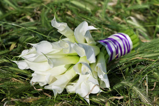Calla lily весільний букет
 - Фото, зображення