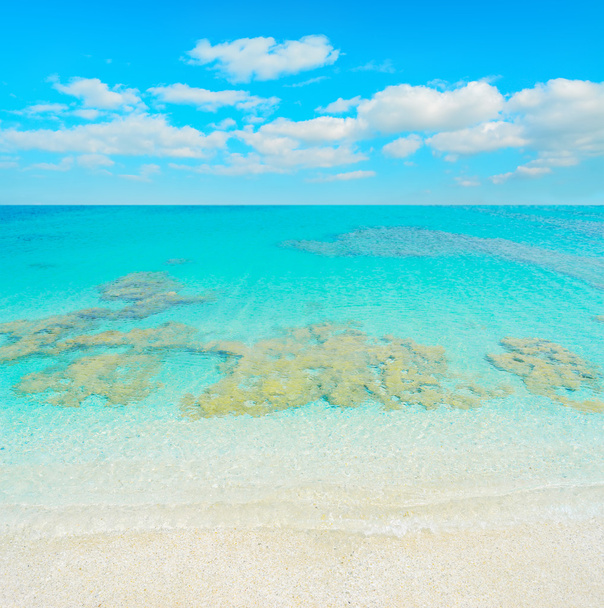 Райский пляж в ясный день
 - Фото, изображение