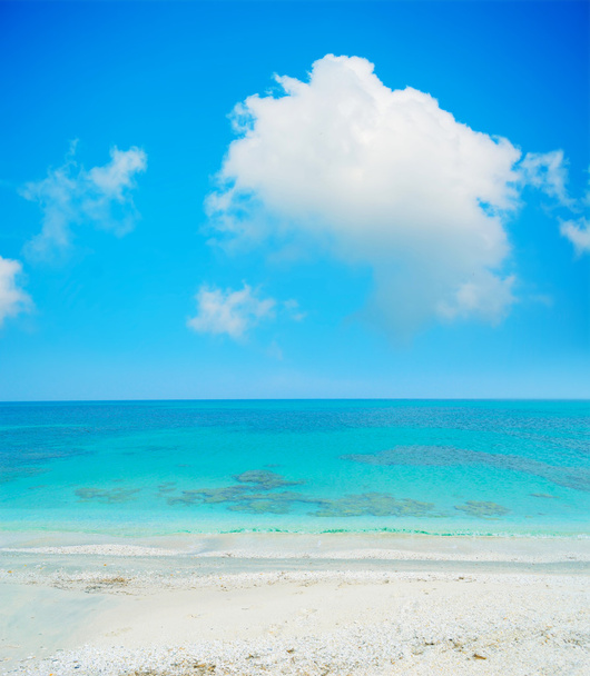 areia branca e água azul-turquesa
 - Foto, Imagem