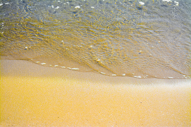 golden shore in Sardinia - Photo, Image