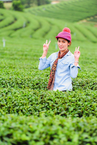 Азії красива жінка збір чайного листя в чай плантації, хап - Фото, зображення