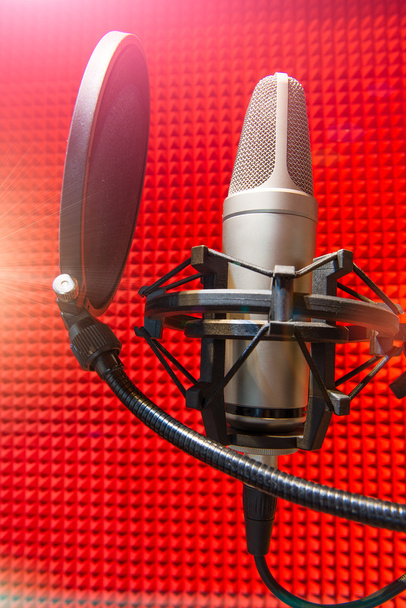 recording studio microphone - Photo, Image