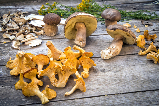 Boletus Edilus cogumelos em uma mesa de madeira - fresco secado e
 - Foto, Imagem
