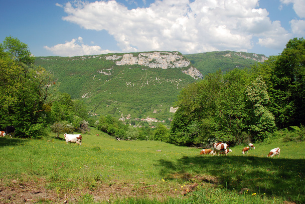 Krajobraz regionu Bugey - Zdjęcie, obraz