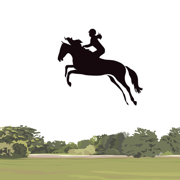 Cavalo saltador
 - Vetor, Imagem