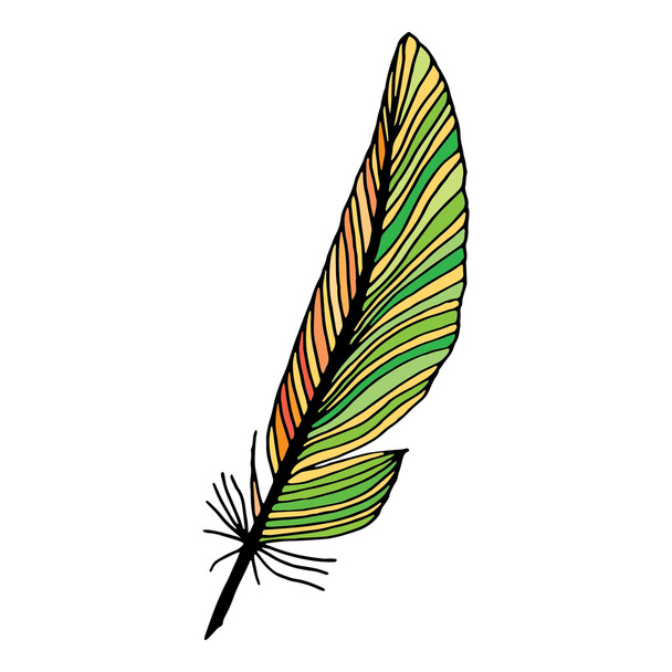 Ilustración de plumas verde - naranja - amarillo
 - Vector, Imagen