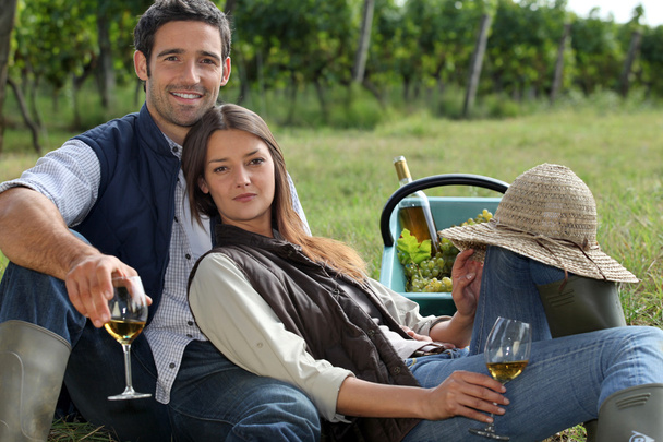 Couple drinking wine in a vineyard - Фото, изображение