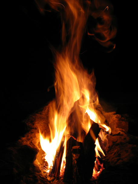 黒の背景に非常に熱い赤火木のクローズ アップ - 写真・画像