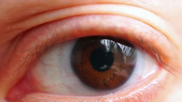 Kahverengi göz makro lens ile - Video, Çekim