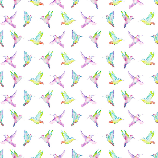 Seamless pattern of watercolor colibri - Foto, Imagen