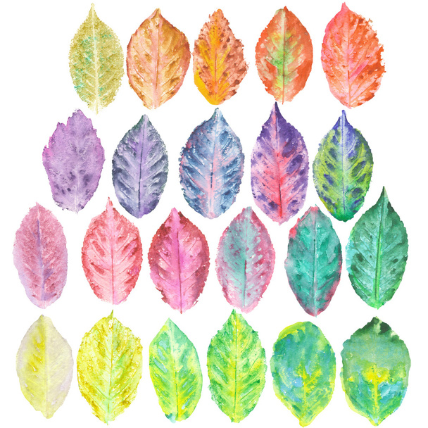 Sada s akvarel podzimní listí - Fotografie, Obrázek