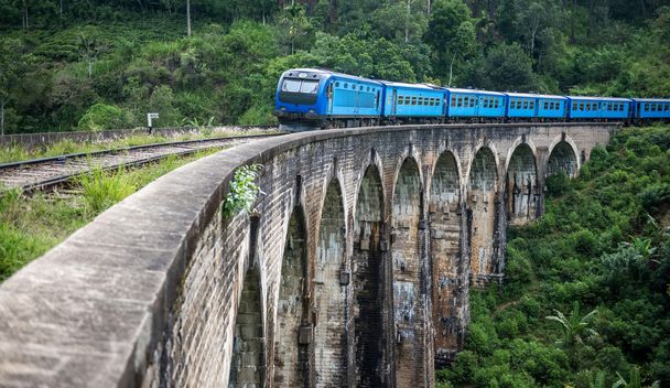 Train passing over Nine Arches - Foto, Imagen
