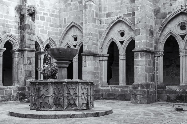Fuente de la Catedral de Plasencia - Foto, Bild