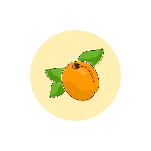 Icon Colorful Apricot - Vector, Image