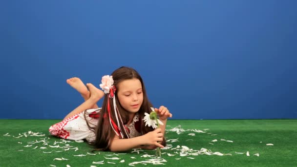 6-jähriges Mädchen liegt im Gras und trennt sich von den Kamillenblättern. - Filmmaterial, Video