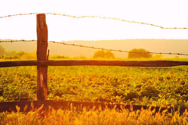 Warm glowing country sunset - 写真・画像