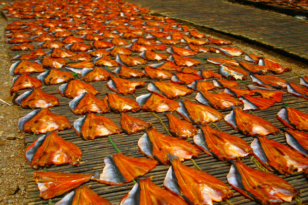 ξήρανση ψαριών - Φωτογραφία, εικόνα