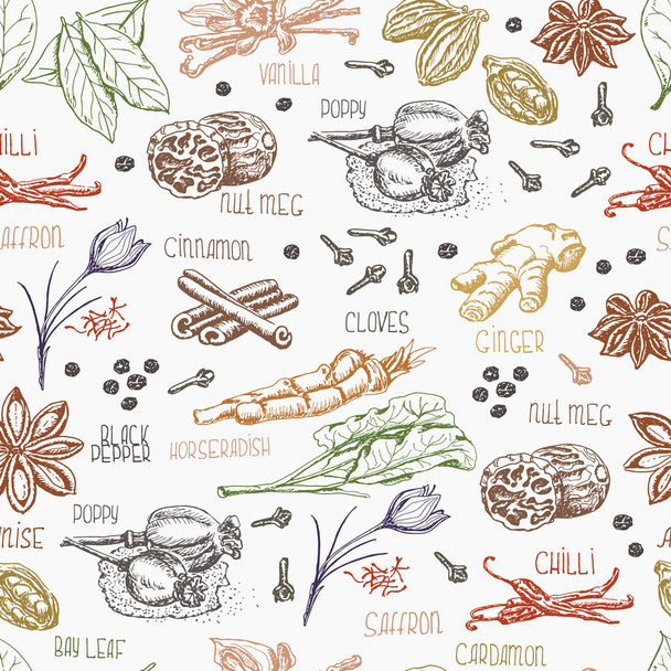 Seamless pattern with multi-colored spices on white background - Vettoriali, immagini
