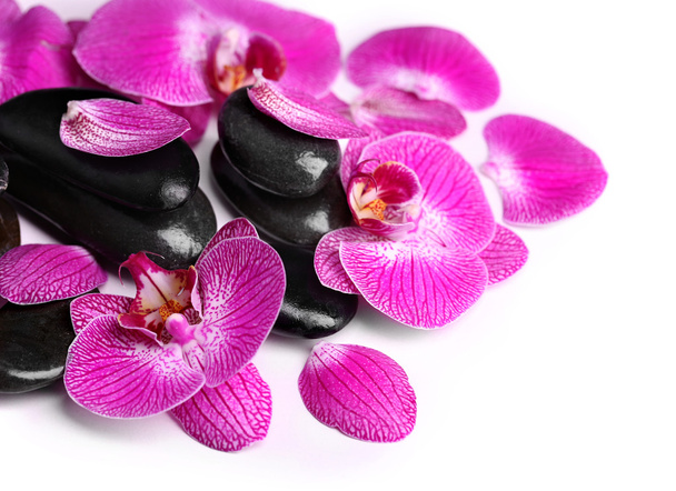 Violet orchid and zen stones - Foto, Imagem