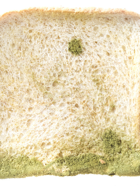 Schimmel op brood geïsoleerd - Foto, afbeelding