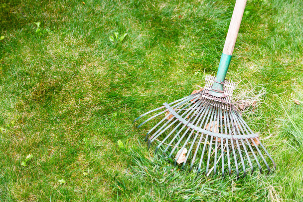 čištění zelený trávník z listí hrábě - Fotografie, Obrázek