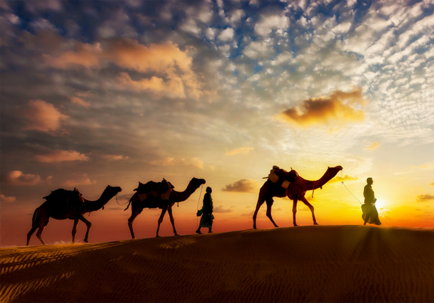 Dois camelôs motoristas de camelos com camelos em dunas de Thar deser
 - Foto, Imagem