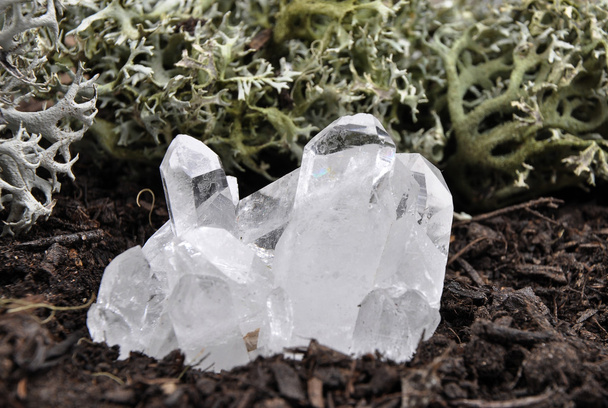 Cristal de roca en el suelo forestal
 - Foto, Imagen