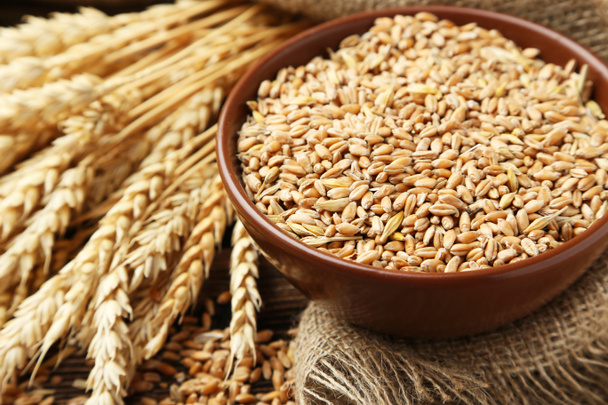 Orejas de trigo y tazón de granos de trigo
 - Foto, imagen
