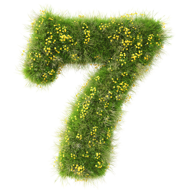 Nummer 7 aus dem grünen Gras - Foto, Bild