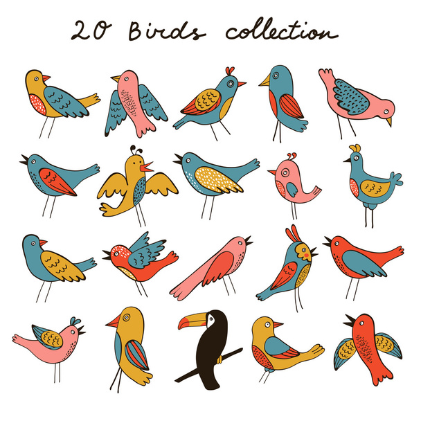 Coleção PrintCute de pássaros engraçados
 - Vetor, Imagem