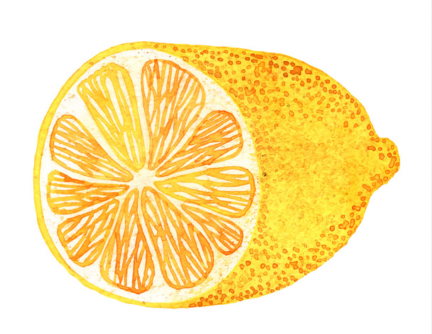 limon sulu boya çizim - Vektör, Görsel