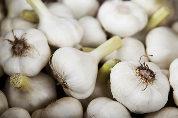 Background of fresh garlic - Photo, Image