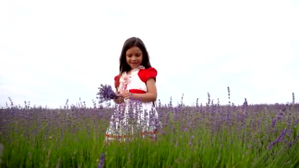 Nainen lapsi seisoo alalla laventeli
. - Materiaali, video