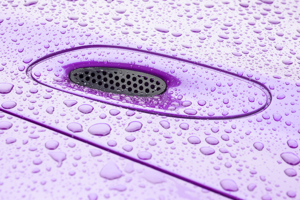 фиолетовый
 - Фото, изображение