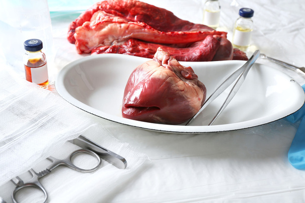 Heart organ in medical metal tray with tools on table close up - Foto, Imagem