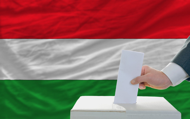 άνθρωπος ψηφοφορία στις εκλογές στην Ουγγαρία μπροστά από την σημαία - Φωτογραφία, εικόνα