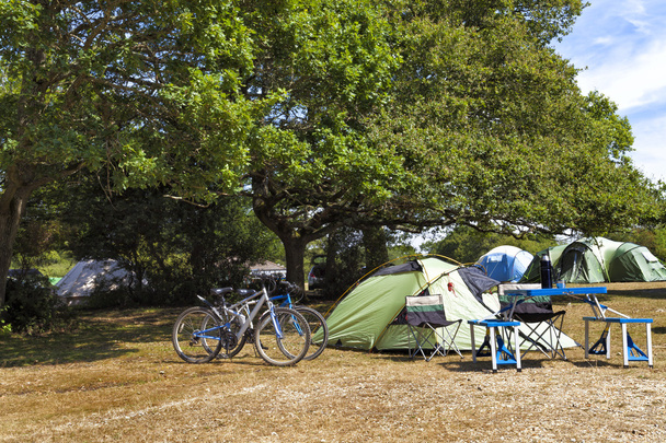 Tendas familiares no local de acampamento sob as árvores
 - Foto, Imagem