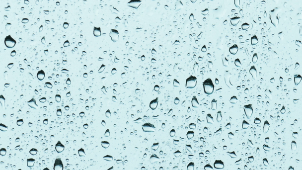 regendruppels op een windowpane - Video