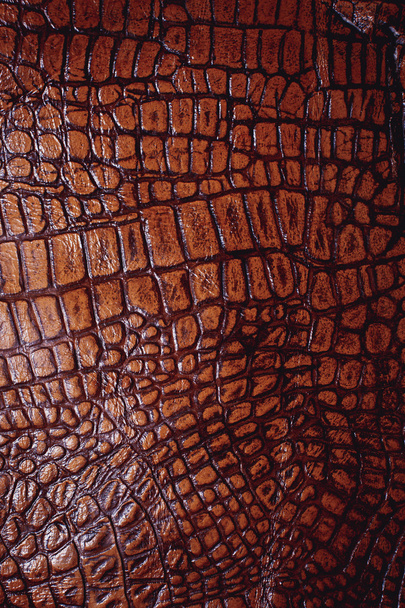 Υφή δέρματος κροκόδειλου - Φωτογραφία, εικόνα