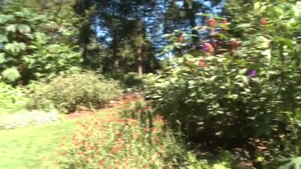 zahrady Bartlett Arboretum - Záběry, video