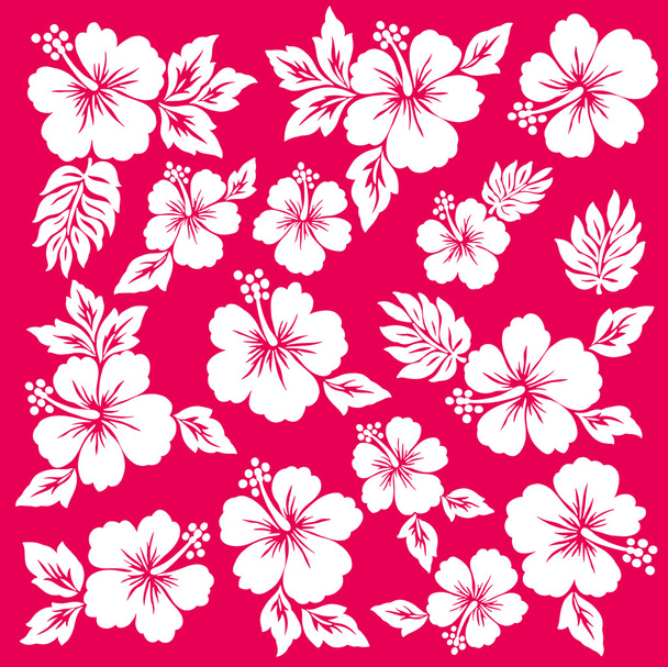 Hibiscus flower illustration - Vektor, kép