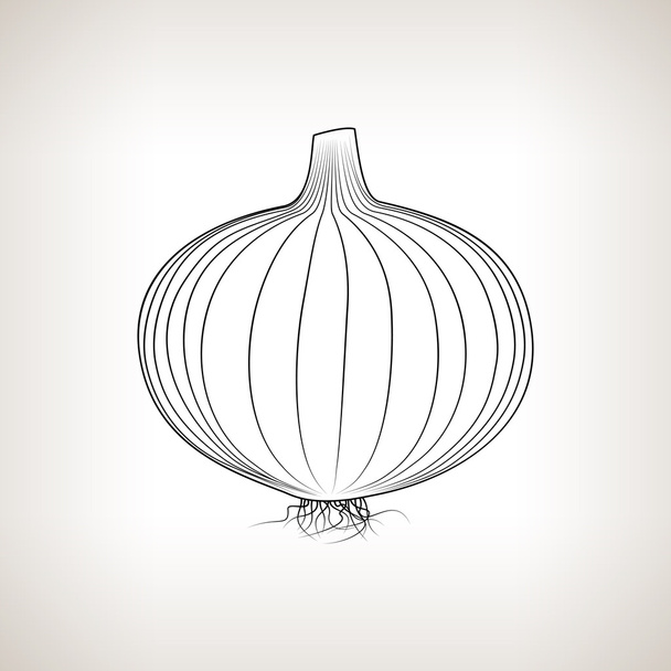 Onion in the Contours on a Light Background - Vector, Image