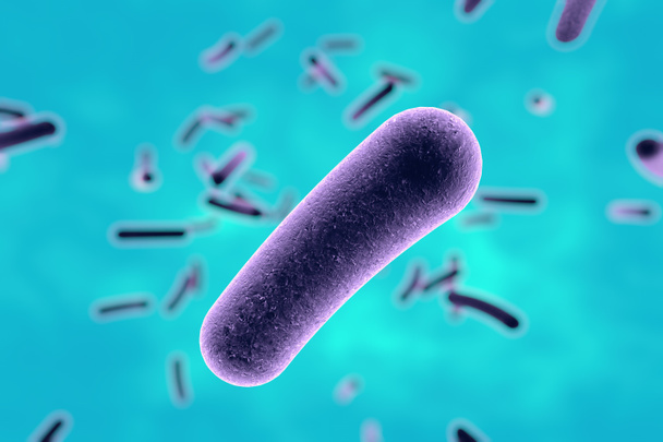 Bacteria on colorful background - Φωτογραφία, εικόνα