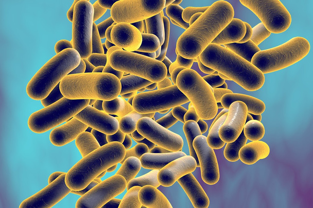 Bakterie - Fotografie, Obrázek
