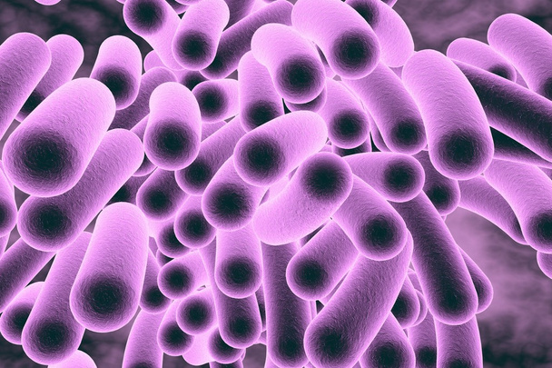 Bacteria - Fotó, kép