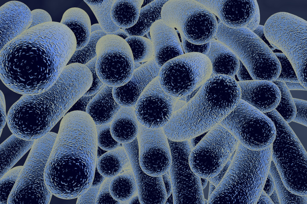 Bacteriën - Foto, afbeelding
