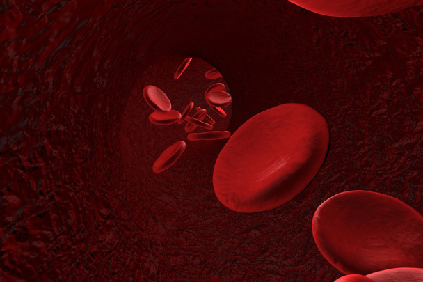 Blood vessel with red blood cells - 写真・画像