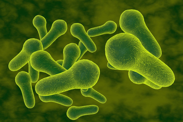 Бактерии Clostridium tetani или другие клостридии
 - Фото, изображение